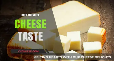 Exploring the Rich, Buttery Flavor of Muenster Cheese: A Taste Test