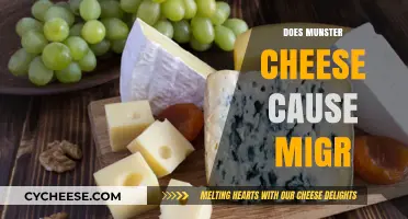 Munster Cheese and Migraines: Unraveling the Potential Connection