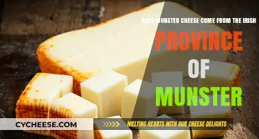 Does Munster Cheese Originate from Ireland's Munster Province?