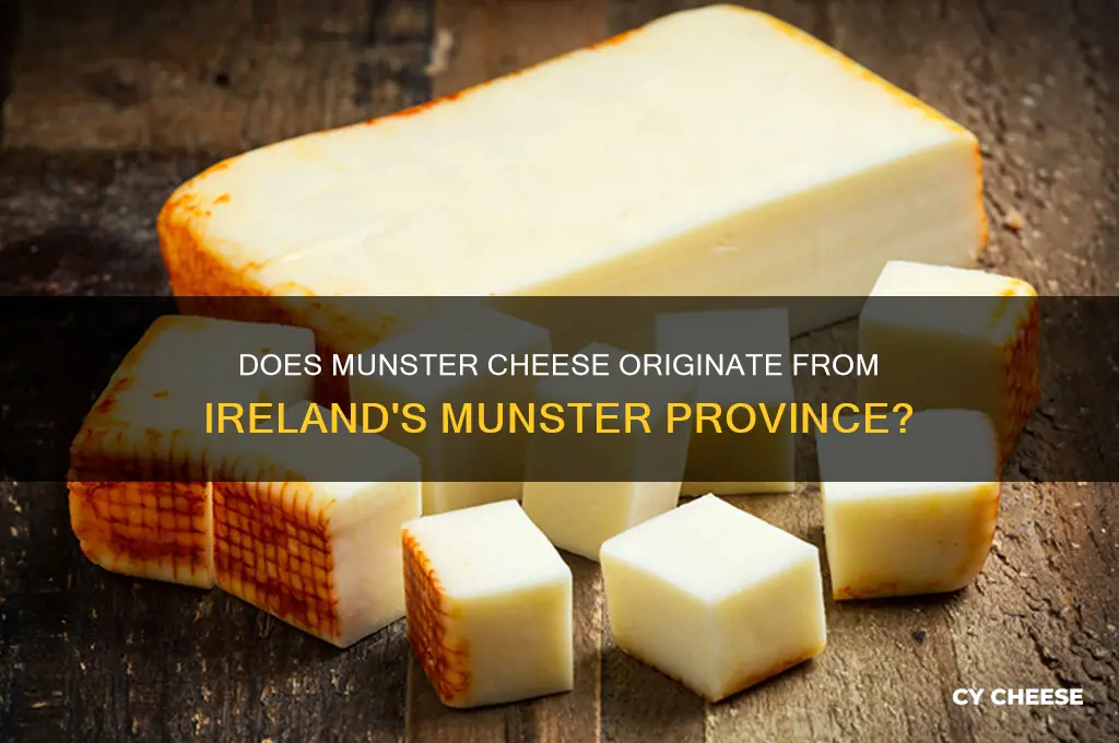 does munster cheese come from the irish province of munster