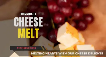 Munster Cheese Melting: The Ultimate Guide