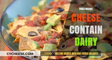 Does Nacho Cheese Contain Dairy? Unraveling the Cheesy Mystery
