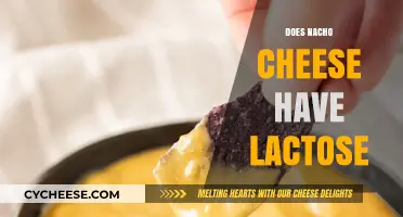 Does Nacho Cheese Contain Lactose? Uncovering the Truth for Cheese Lovers