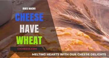 Does Nacho Cheese Contain Wheat? A Gluten-Free Snack Guide