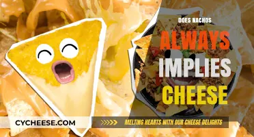 Nachos and Cheese: Unraveling the Essential Ingredient Debate