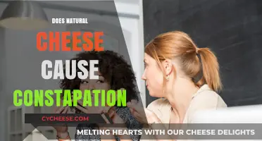 Natural Cheese and Constipation: Unraveling the Digestive Truth