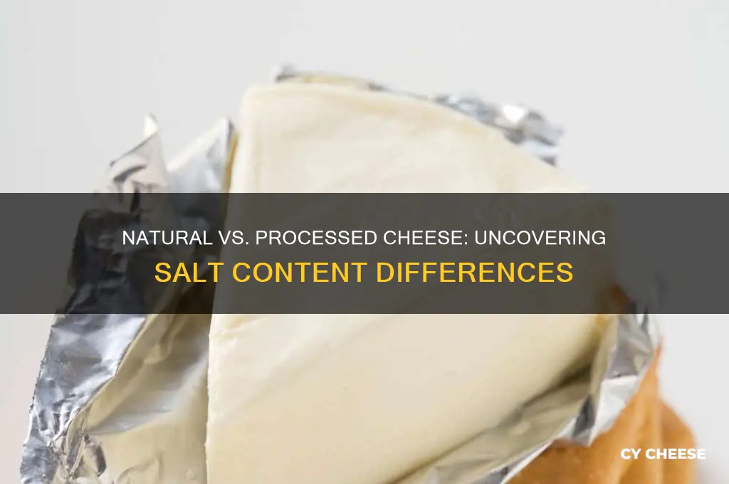 does natural cheese have more salt than processed cheese