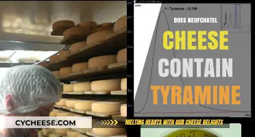 Neufchâtel Cheese and Tyramine: Uncovering the Truth About Its Content