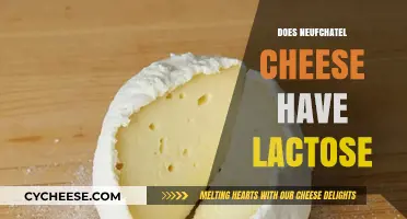 Neufchatel Cheese and Lactose: What You Need to Know