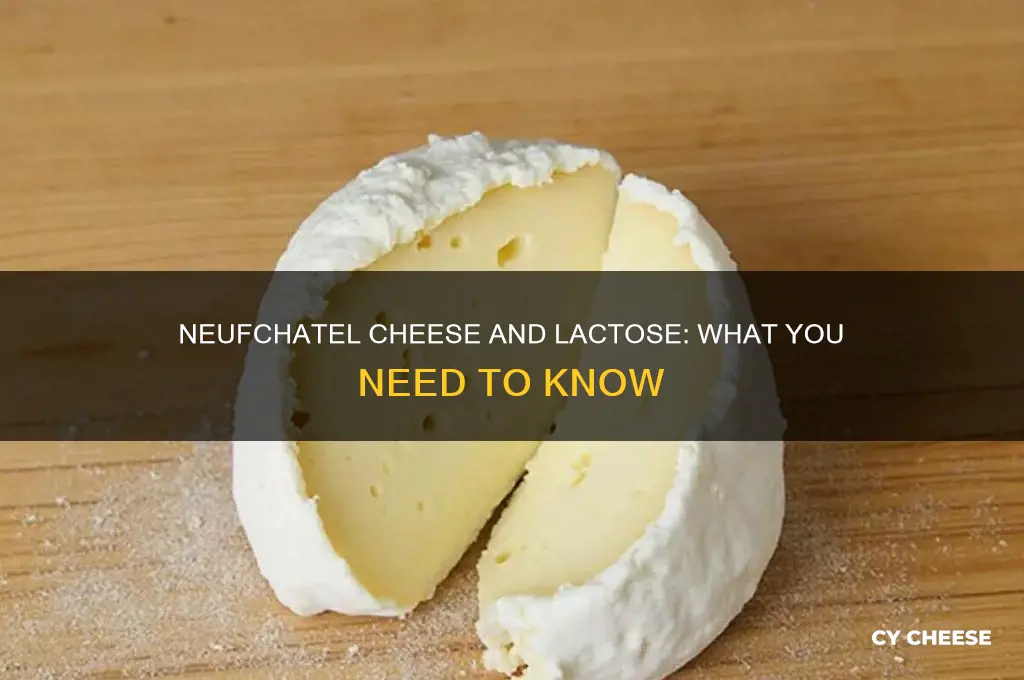 does neufchatel cheese have lactose