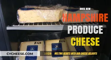 New Hampshire's Cheese Production: A Look at Local Dairy Delights