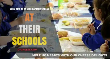 Expired Cheese in NYC Schools: Fact or Fiction?
