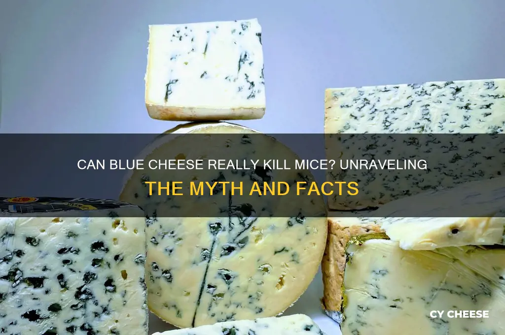 does nlue cheese kill mice