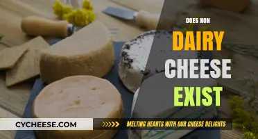 Exploring Non-Dairy Cheese: A Guide to Plant-Based Alternatives