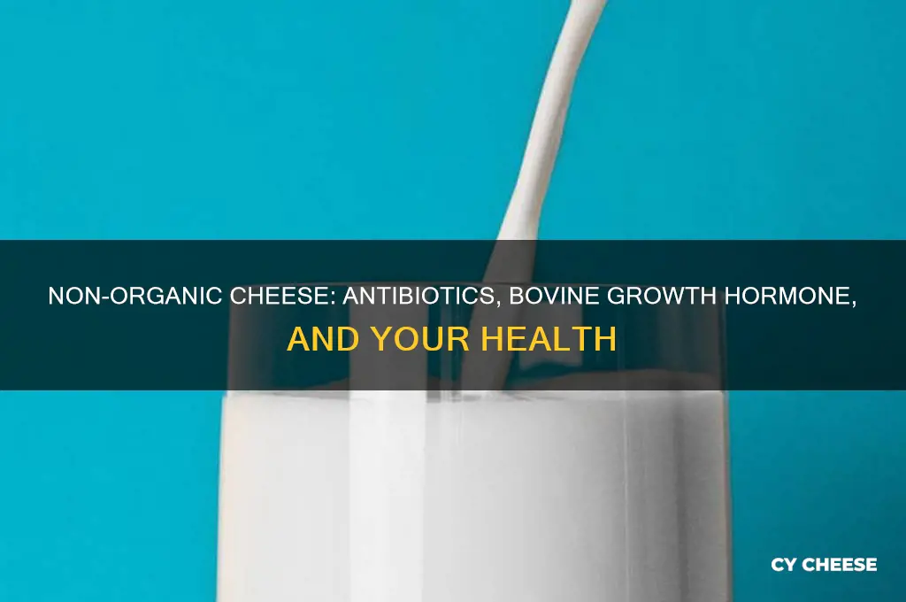 does non-organic cheese contain antibiotics and bovine growth hormone