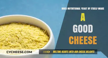 Nutritional Yeast: The Ultimate Cheese Substitute?