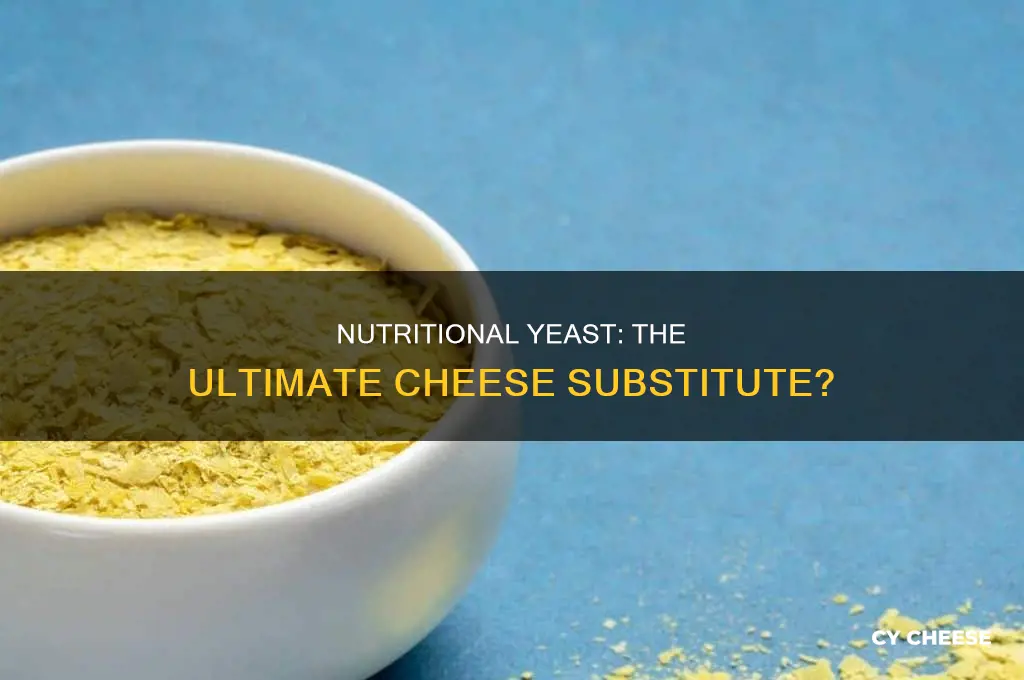 does nutritional yeast by itself make a good cheese