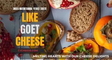 Nutritional Yeast vs Goat Cheese: Taste Similarities?