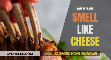 Offal Aroma: Cheesy or Not?