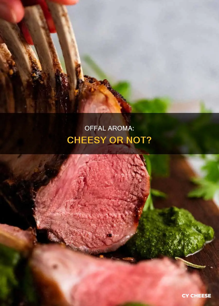 does off lamb smell like cheese