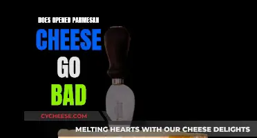 How Long Does Opened Parmesan Cheese Last?