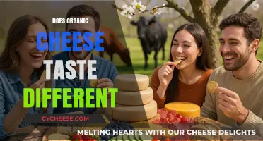 Organic Cheese Taste Test: Does It Really Make a Difference?