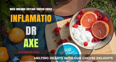 Organic Cottage Cheese and Inflammation: Dr. Axe's Insights