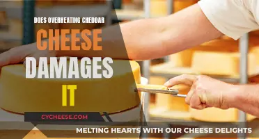 Cheddar Cheese Overheating: Is It Ruined?