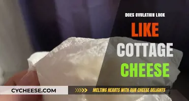 Understanding Ovulation Discharge: Cottage Cheese-Like Appearance Explained