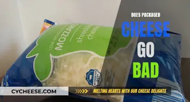 Cheese Conundrum: Does Packaged Cheese Go Bad?