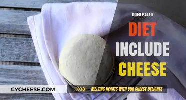 Is Cheese Paleo? Exploring Dairy's Place in the Paleo Diet