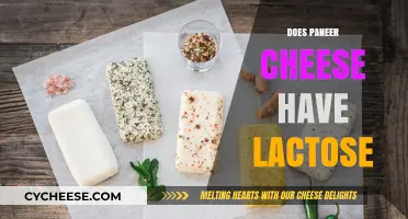Paneer Cheese and Lactose: What You Need to Know