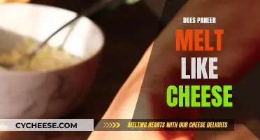 Melted Magic: Does Paneer Mimic Melting Cheese?