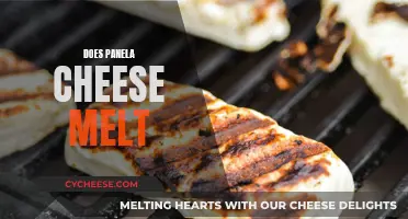 Melting Panela Cheese: The Ultimate Guide