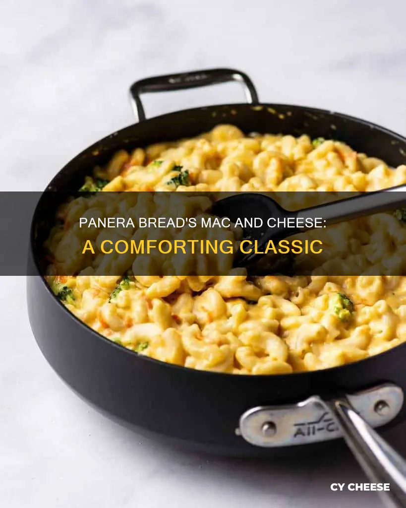 does panera bread have macaroni and cheese