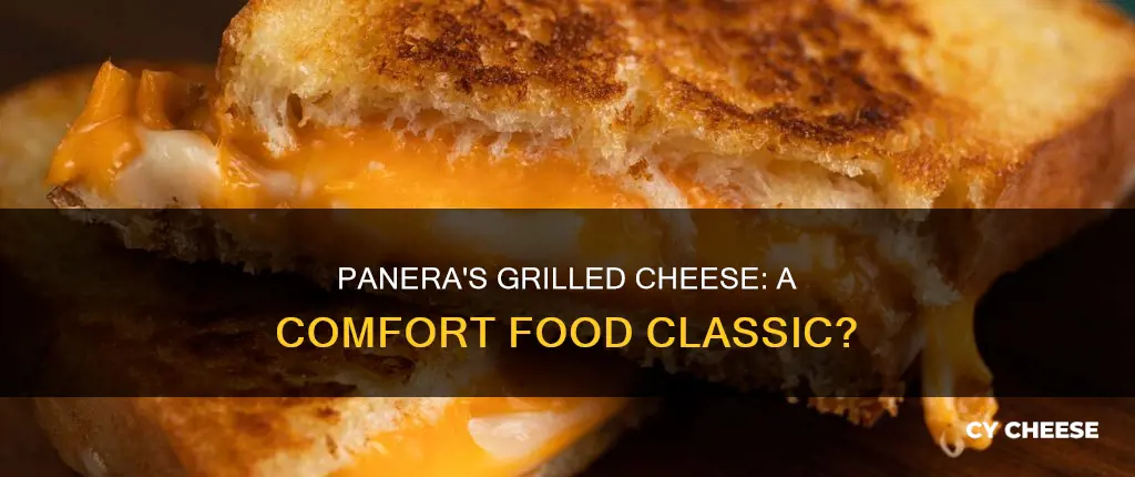 does panera have grilled cheese