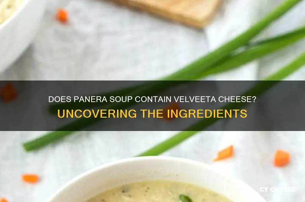 does panera soup have velveeta cheese in it