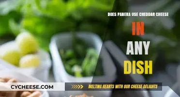 Panera's Cheddar Cheese: Where's the Dish?