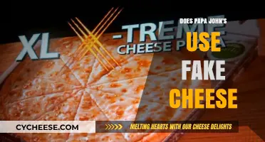 Papa John's Cheese: Real or Fake?