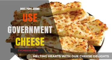 Papa John's Pizza: Government Cheese Mystery Solved