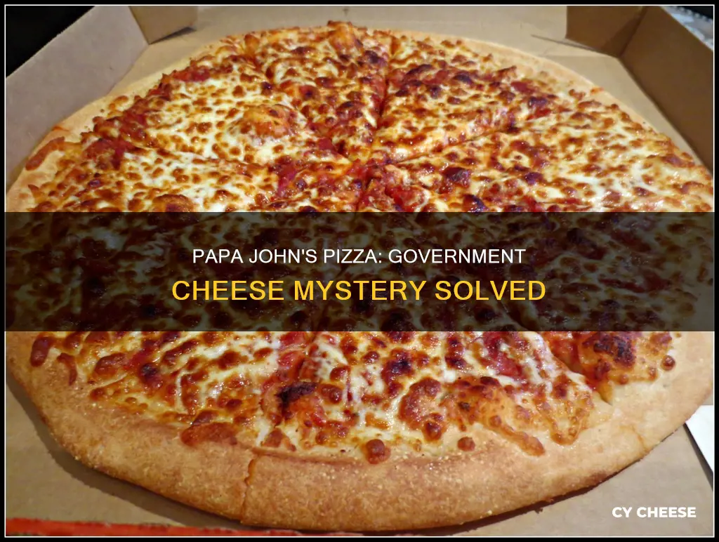 does papa johns use government cheese