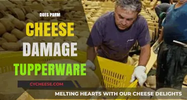 Parmesan Cheese and Tupperware: Does It Cause Container Damage?