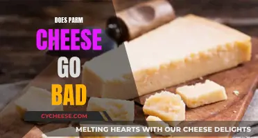 Parm Cheese: Does it Go Bad?