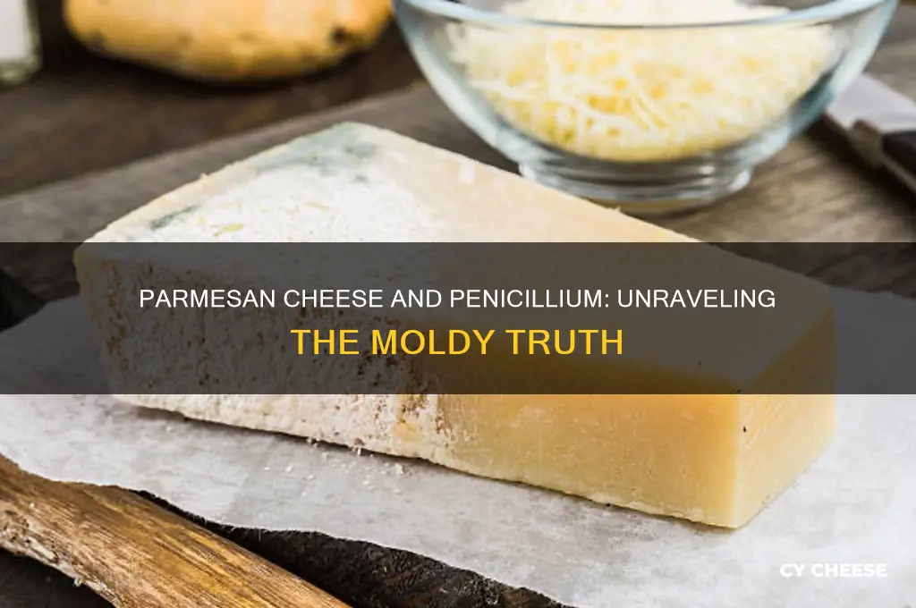 does parmasan cheese have penicillium