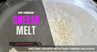 Parmesan Cheese: Melting Mystery Solved!