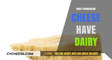 Is Parmesan Cheese Dairy-Free? Uncovering the Truth About Its Ingredients