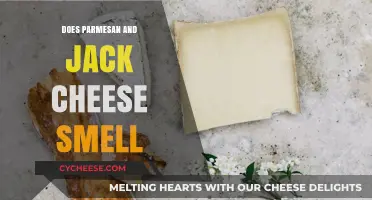 Jack and Parmesan: A Tale of Two Cheeses
