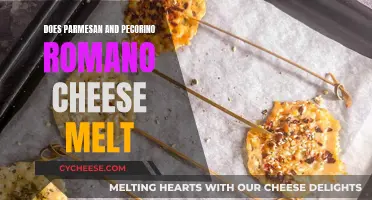 Melting Cheeses: Parmesan and Pecorino Romano's Unique Qualities