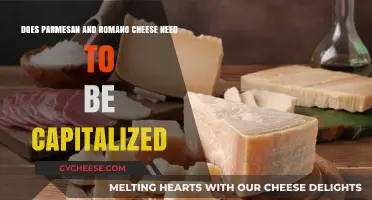 Capitalizing Cheese: Parmesan and Romano's Proper Nouns