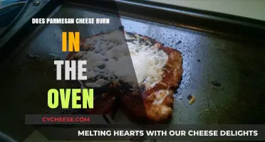 Oven-Baked Parmesan: Burn or No Burn?